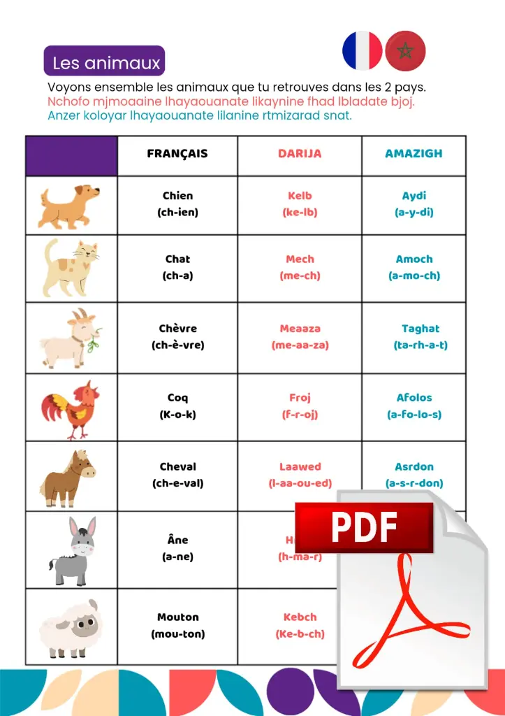 WhatsApp Image 2025-08-13 à 19.09.10_44c5deef.webp