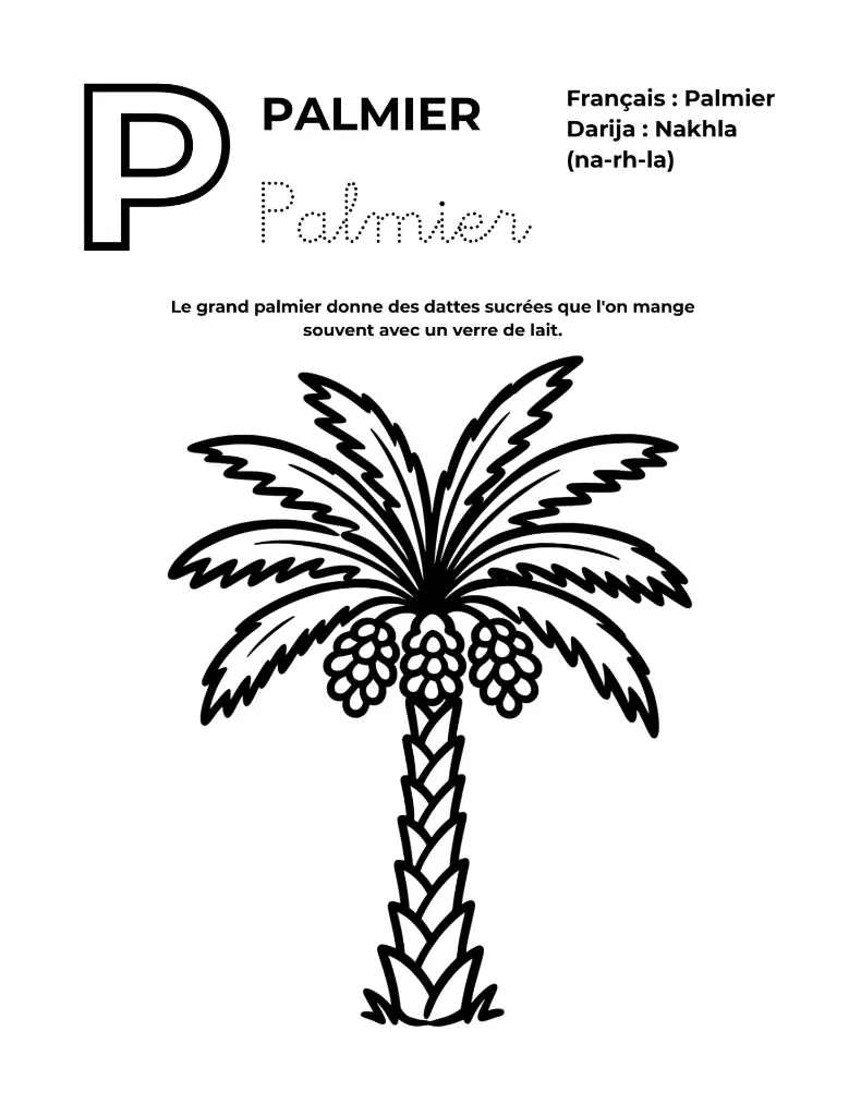 MON ABÉCÉDAIRE DU MAROC (2).webp